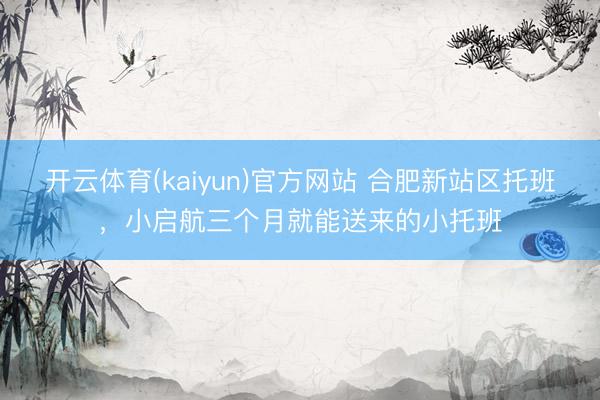 开云体育(kaiyun)官方网站 合肥新站区托班，小启航三个月就能送来的小托班