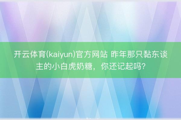 开云体育(kaiyun)官方网站 昨年那只黏东谈主的小白虎奶糖，你还记起吗？
