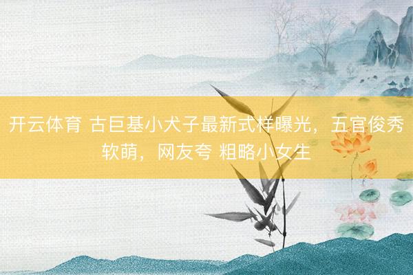 开云体育 古巨基小犬子最新式样曝光，五官俊秀软萌，网友夸 粗略小女生