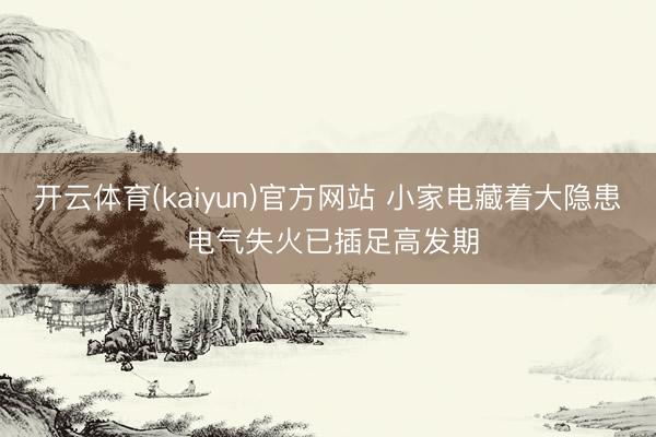 开云体育(kaiyun)官方网站 小家电藏着大隐患 电气失火已插足高发期