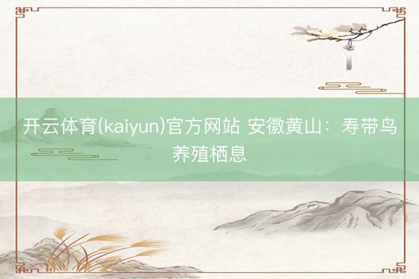 开云体育(kaiyun)官方网站 安徽黄山：寿带鸟养殖栖息