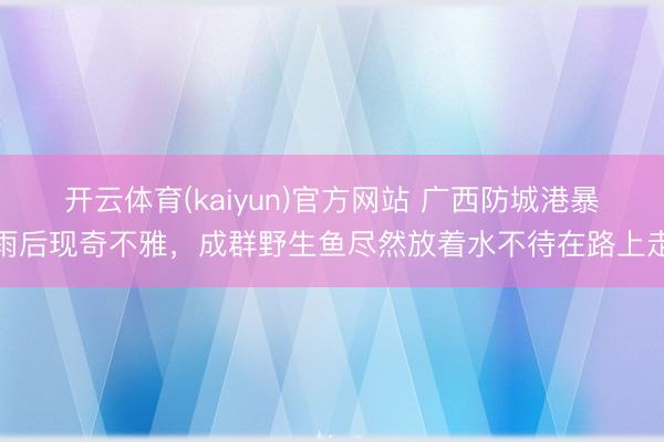 开云体育(kaiyun)官方网站 广西防城港暴雨后现奇不雅，成群野生鱼尽然放着水不待在路上走