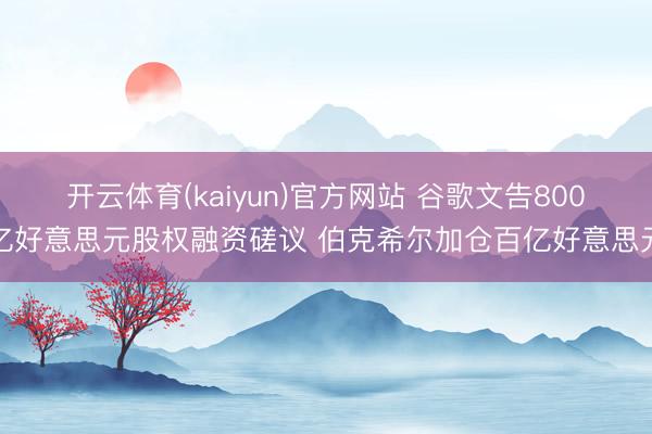 开云体育(kaiyun)官方网站 谷歌文告800亿好意思元股权融资磋议 伯克希尔加仓百亿好意思元