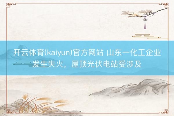 开云体育(kaiyun)官方网站 山东一化工企业发生失火，屋顶光伏电站受涉及