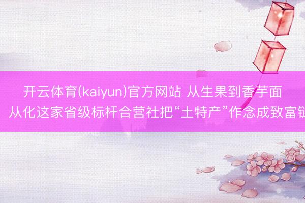 开云体育(kaiyun)官方网站 从生果到香芋面,从化这家省级标杆合营社把“土特产”作念成致富链